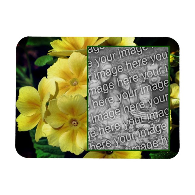 Magnet Flexible Fleurs de Primrose Jaune Ajouter Votre Photo (Horizontal)