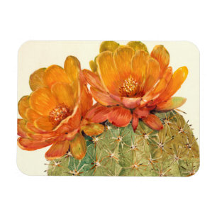 Magnet Flexible Fleurs d'orange de cactus