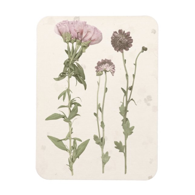 Magnet Flexible Fleurs en rose (Vertical)