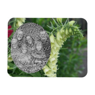 Magnet Flexible Fleurs Foxglove Blanches Crémeuses Ajoutez Votre P