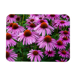 Magnet Flexible Fleurs Jardin aux fleurs roses