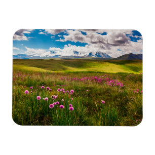 Magnet Flexible Fleurs   Montagnes de l'Altaï, Sibérie, Russie