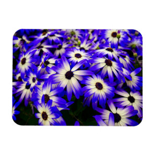 Magnet Flexible Fleurs numériques bleues et blanches