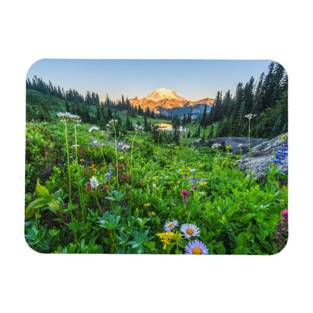 Magnet Flexible Fleurs | Parc national du Mont Rainier (Horizontal)