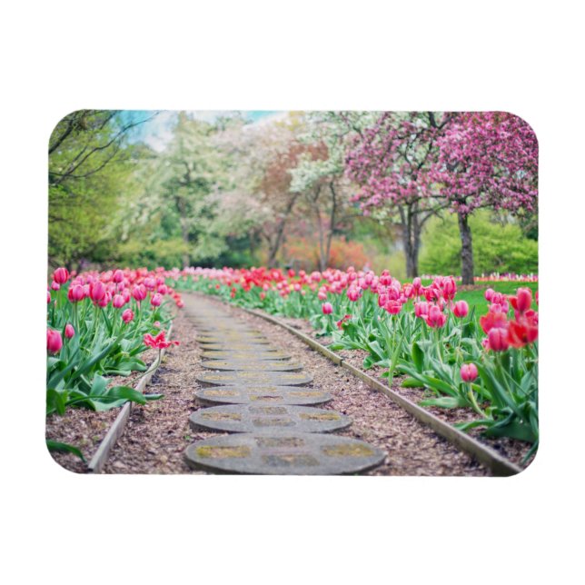 Magnet Flexible Fleurs printanières le long de la promenade en pie (Horizontal)