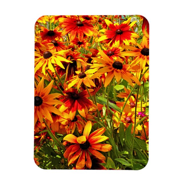 MAGNET FLEXIBLE FLEURS RUDBECKIA (Vertical)