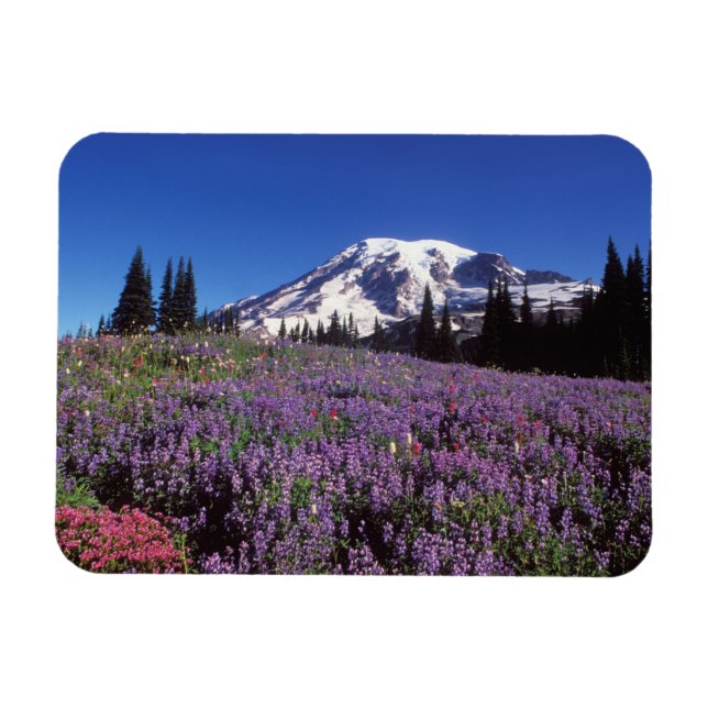 Magnet Flexible fleurs sauvages d'été à la base du Mont Rainier, (Horizontal)