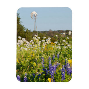 Magnet Flexible Fleurs sauvages et moulin à vent dans Texas Hill C