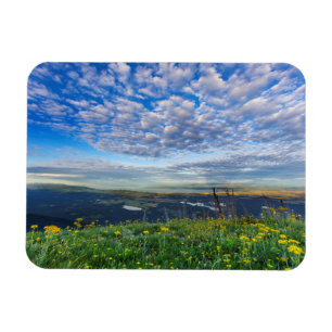 Magnet Flexible Fleurs sauvages Groundsel dans la chaîne Swan