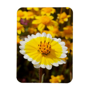Magnet Flexible Fleurs sauvages Tidy Tip