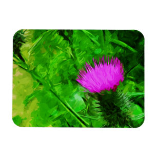 Magnet Flexible Flodmans Thistle Purple Fleur sauvage Abstrait