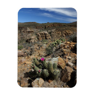 Magnet Flexible Floraison de cactus