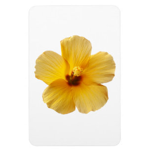 Magnet Flexible Floral de fleurs tropicales de l'Hibiscus jaune