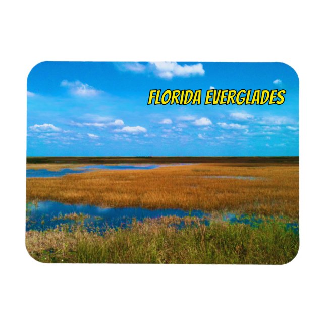 Magnet Flexible Florida Everglades Sawgrass, Sky & Reflections (Horizontal)