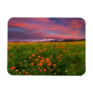 Magnet Flexible Flowers (homonymie) Fayot Field Snowcapped Mount