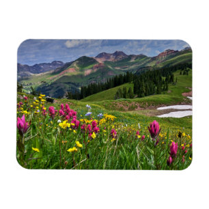 Magnet Flexible Flowers (homonymie)   Wildflowers Durango
