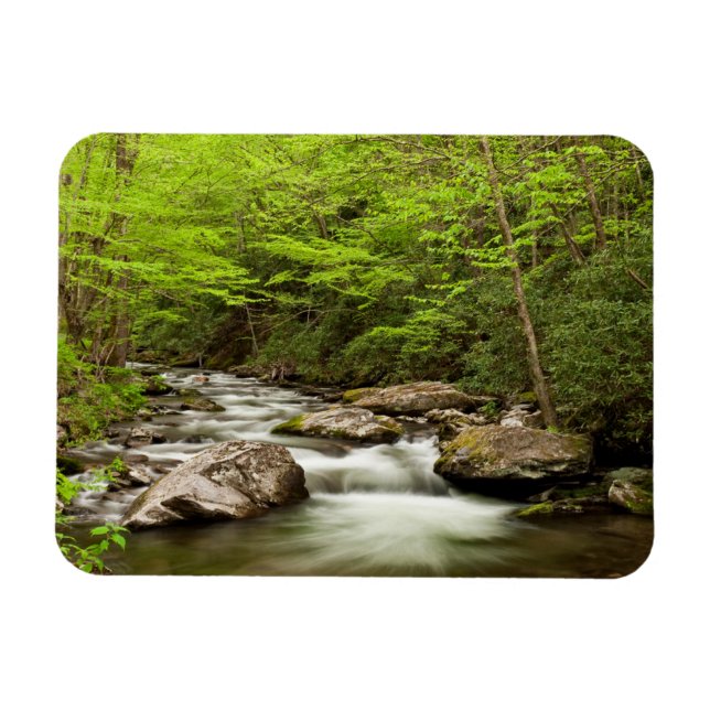 Magnet Flexible Flux De Fourche Droite À Travers La Forêt (Horizontal)