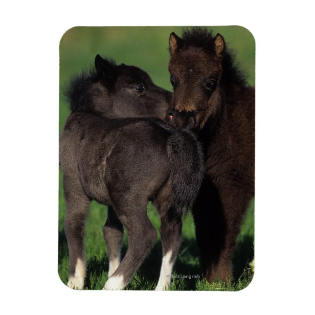Magnet Flexible Foies miniatures 1 (Vertical)