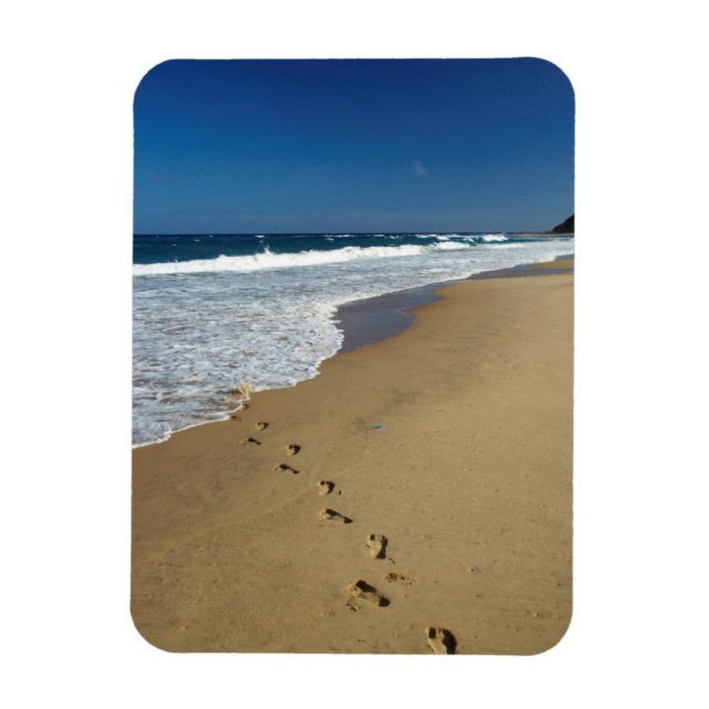 Magnet Flexible Footprints On Beach, Mabibi, Thongaland (Vertical)