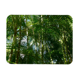 Magnet Flexible Forest of Palm Trees Tropical Nature