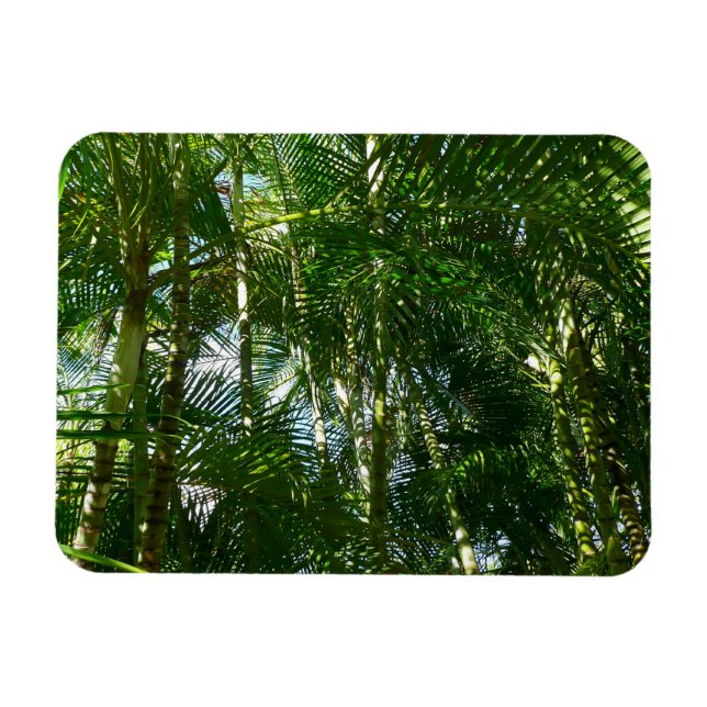 Magnet Flexible Forest of Palm Trees Tropical Nature (Horizontal)