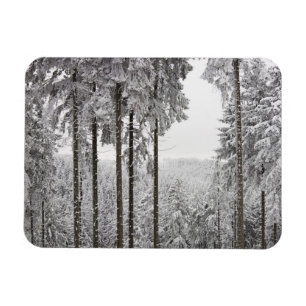 Magnet Flexible Forêt à feuillage persistant en hiver