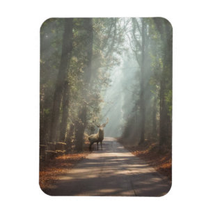 Magnet Flexible Forêt Bois