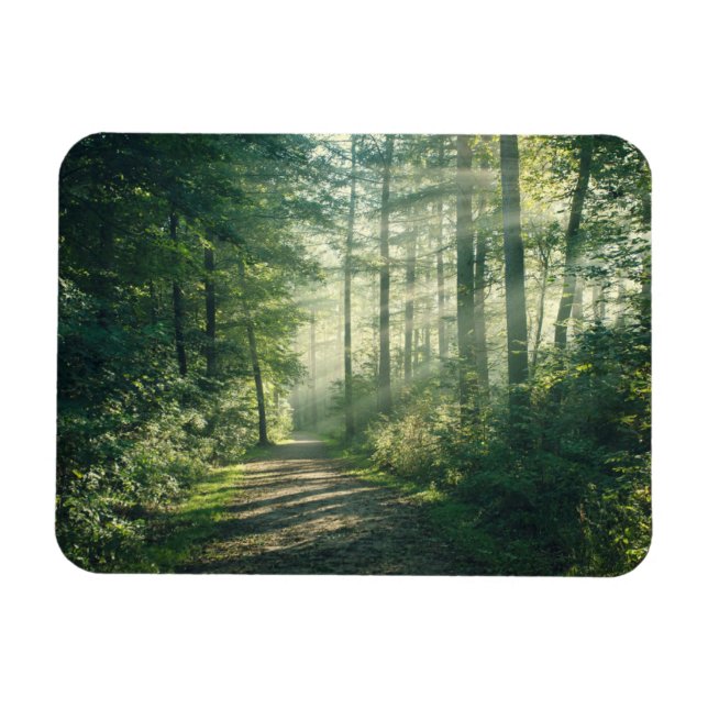 Magnet Flexible Forêt | Chemin forestier Hambourg Allemagne (Horizontal)