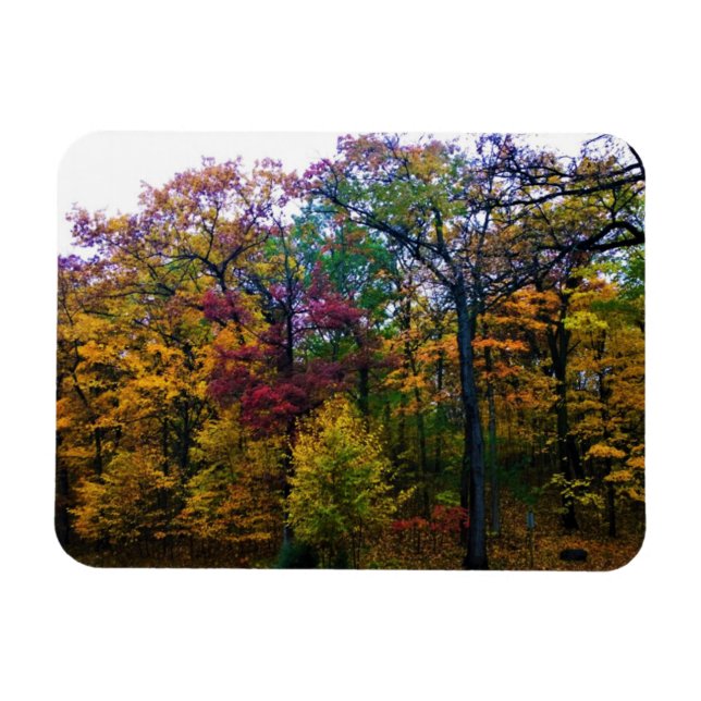 Magnet Flexible Forêt d'automne sombre (Horizontal)