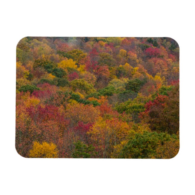 Magnet Flexible Forêt de feuillus dans le comté de Randolph, Virgi (Horizontal)
