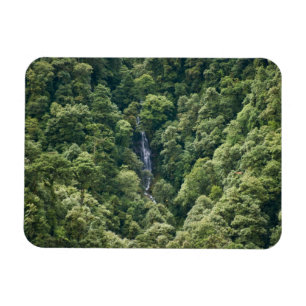 Magnet Flexible Forêt d'Himalaya dans la vallée de Mangdue, Bhou