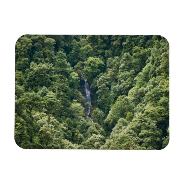 Magnet Flexible Forêt d'Himalaya dans la vallée de Mangdue, Bhouta (Horizontal)