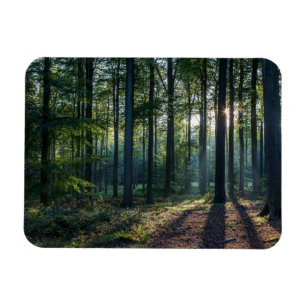 Magnet Flexible Forêt   Forêt Noire Allemagne