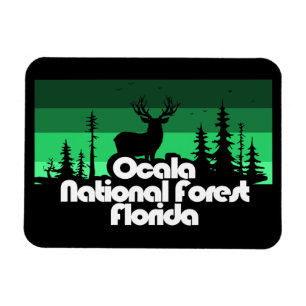 Magnet Flexible Forêt nationale d'Ocala Floride