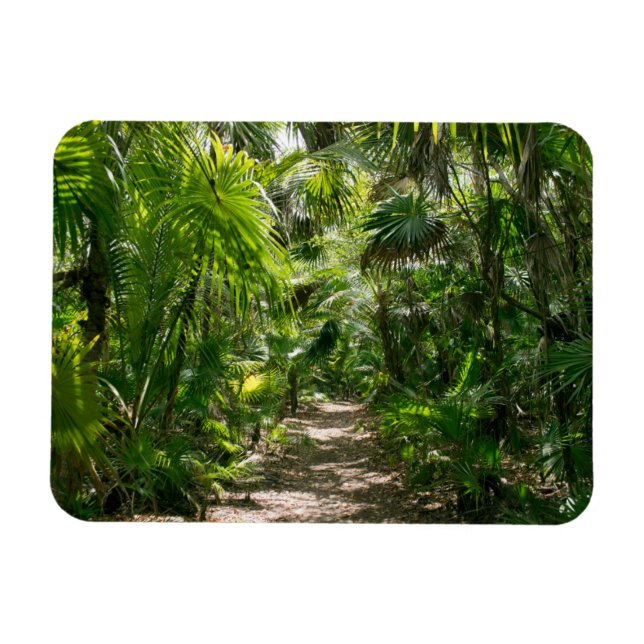 Magnet Flexible Forêt | Tropical Rainforest Tulum Mexique (Horizontal)