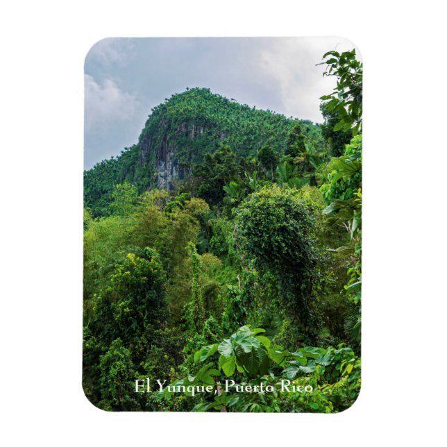 Magnet Flexible Forêt tropicale luxuriante et pic el yunque (Vertical)