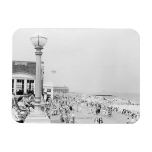 Magnet Flexible Foules 2