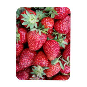 Magnet Flexible fraises fraîches