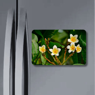 Magnet Flexible Frangipani jaune