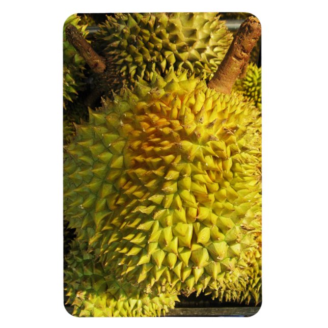 Magnet Flexible Fruit durian (Vertical)