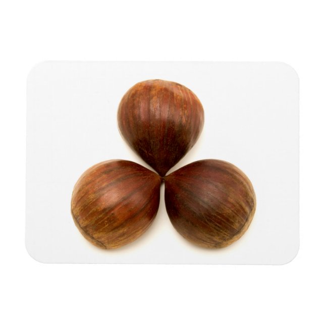 Magnet Flexible Fruits de châtaignes sucrés (Horizontal)