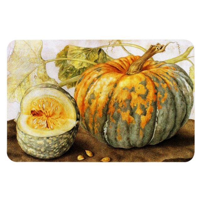 MAGNET FLEXIBLE FRUITS DE SAISON / CITROUILLE (Horizontal)
