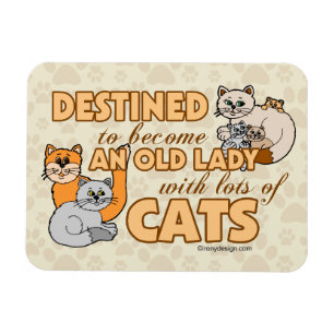 Magnet Flexible Future Madame folle Funny Saying Design de chat
