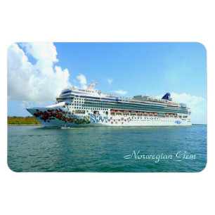 Magnet Flexible Gem sur la côte spatiale