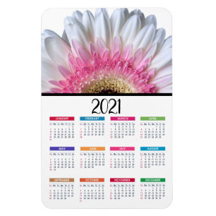 Magnet Flexible Gerbera Daisy rose et blanc  Calendrier 2021