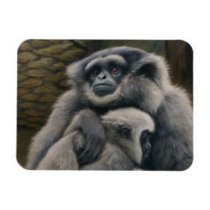Magnet Flexible Gibbon Shelter - Emotional Wildlife Portrait