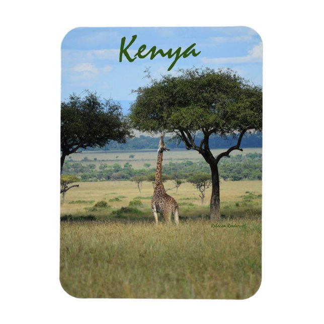 Magnet Flexible Giraffe Mating Tree au Kenya (Vertical)