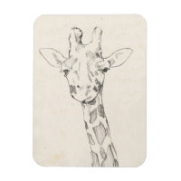 Giraffe Portrait | Croquis