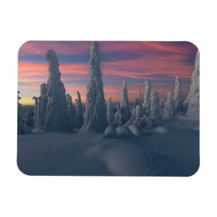 Magnet Flexible Glace et neige   Arbres couverts de neige, Laponie