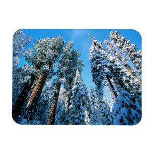 Magnet Flexible Glace et neige Parc national de Sequoia, Califor